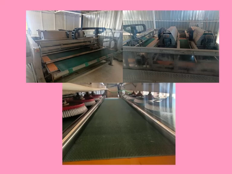 Bilkent Halı Yıkama ile Halı Nasıl Yıkanır? Profesyonel Temizlik