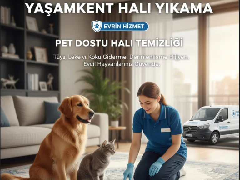 Evcil Hayvan Sahipleri İçin Halı Temizliği