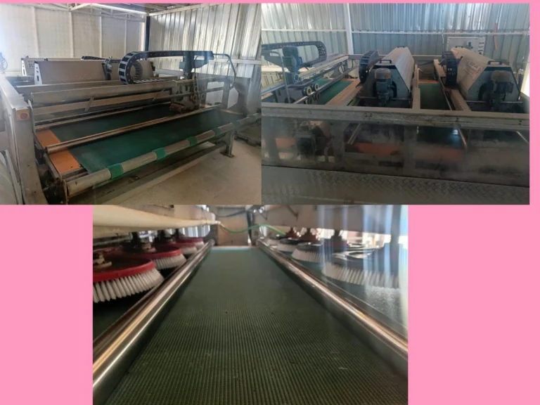 PROFESYONEL HALI YIKAMA MAKİNAMIZ
