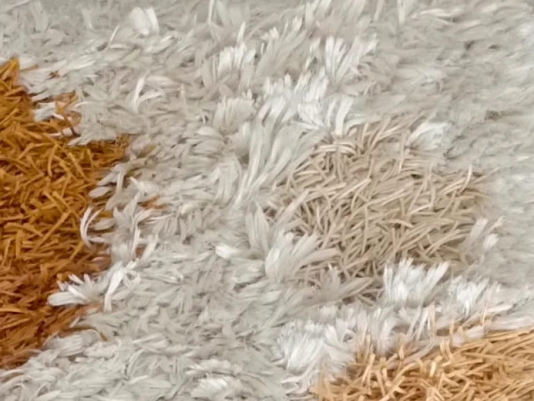 ŞHAGYY HALI YIKAMA TEKNİKLERİ