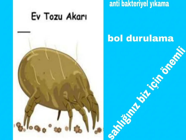 TOZ AKARLARI VE ZARARLARI İNCEK HALI YIKAMA