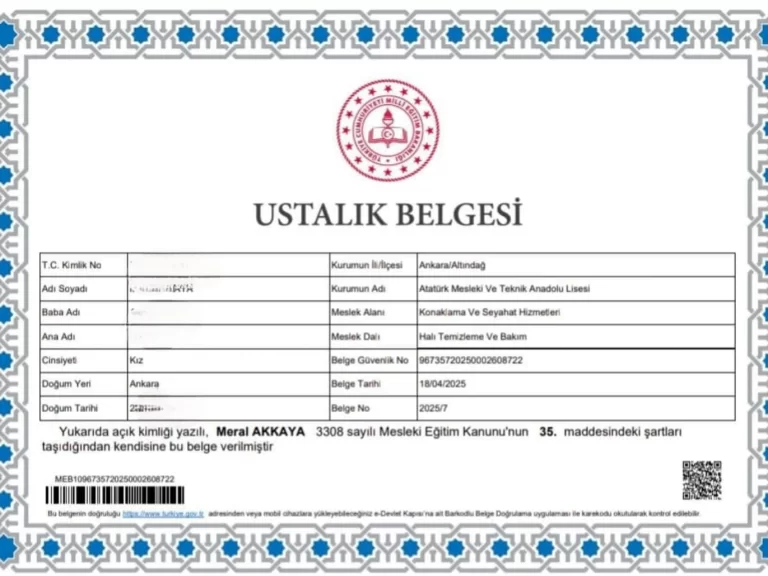USTALIK, BİLGİ,PROFESYONELLİK